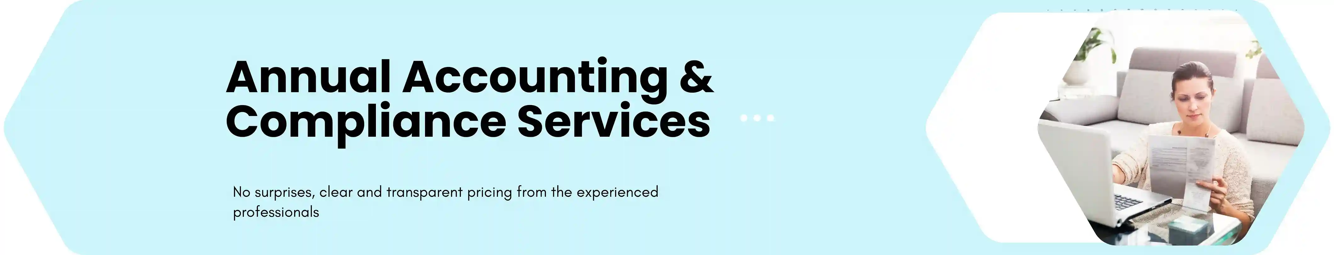 Annual Complaiance Services