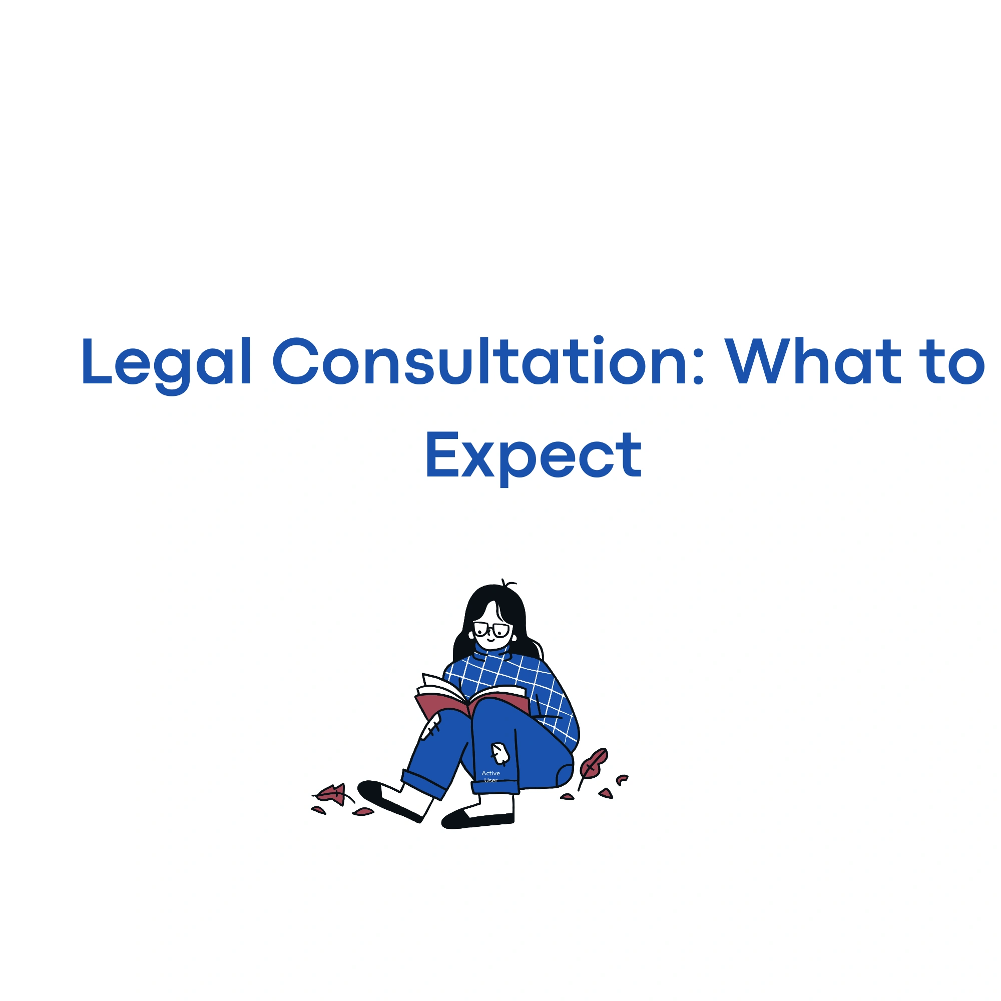 Legal Consultation: What to Expect